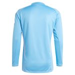 Aston Villa Shirts - aston villa adidas goalkeeper shirt 2024-25 – long sleeve – 201964005 with custom printing Collection of Official Fan Gear