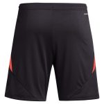 Aston Villa Shirts - aston villa adidas goalkeeper shorts 2024-25 – 201964002 with custom printing Collection of Official Fan Gear