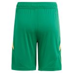 Aston Villa Shirts - aston villa adidas goalkeeper shorts 2024-25 – 201964010 with custom printing Collection of Official Fan Gear