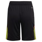 Aston Villa Shirts - aston villa adidas goalkeeper shorts 2024-25 – kids – 201964004 with custom printing Collection of Official Fan Gear