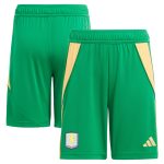 Aston Villa Shirts - aston villa adidas goalkeeper shorts 2024-25 – kids – 201964012 with custom printing Collection of Official Fan Gear