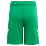 Aston Villa Shirts - aston villa adidas goalkeeper shorts 2024-25 – kids – 201964012 with custom printing Collection of Official Fan Gear