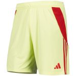 Aston Villa Shirts - aston villa adidas goalkeeper shorts 2025-26 with custom printing Collection of Official Fan Gear