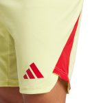 Aston Villa Shirts - aston villa adidas goalkeeper shorts 2025-26 with custom printing Collection of Official Fan Gear