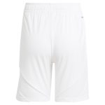 Aston Villa Shirts - aston villa adidas home shorts 2024-25 with custom printing Collection of Official Fan Gear