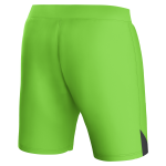 Aston Villa Shirts - aston villa castore away goalkeeper shorts 2023-24 – kids – 13385917 with custom printing Collection of Official Fan Gear