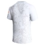 Aston Villa Shirts - aston villa castore away shirt 2023-24 with custom printing Collection of Official Fan Gear